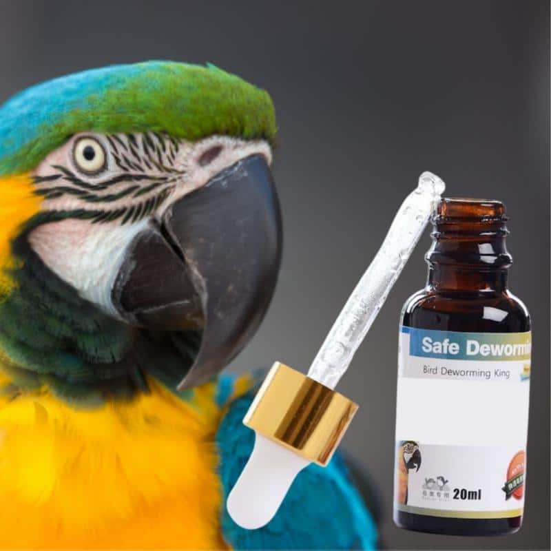 PlantGenic Bird ussirohi - Image 2