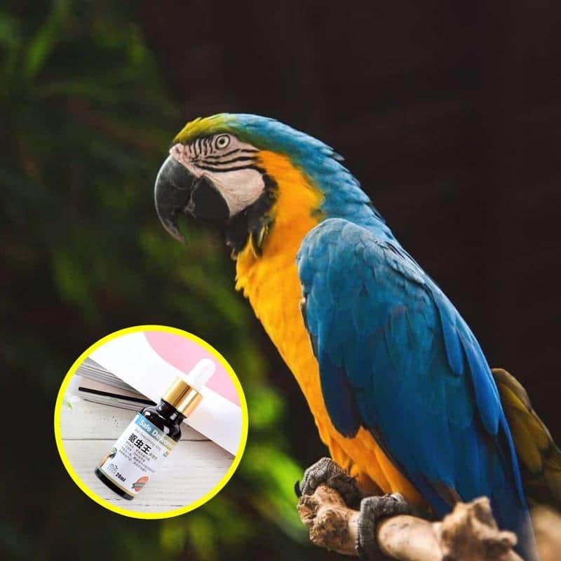 PlantGenic Bird ussirohi - Image 3