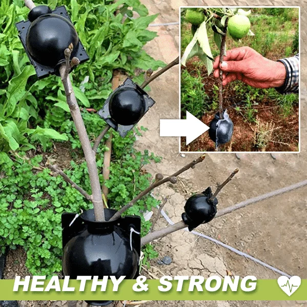 Õhukihiga taimekastid 3 tk - Image 2