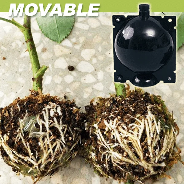 Õhukihiga taimekastid 3 tk - Image 5