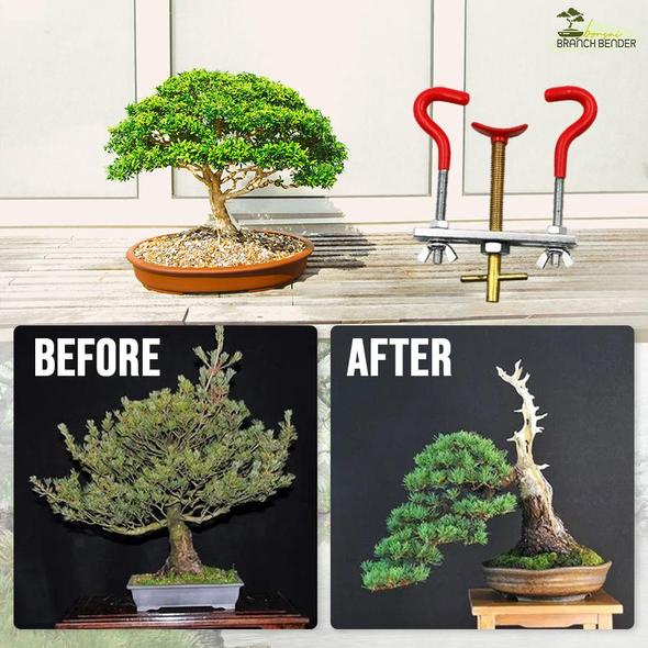 Bonsai Branch Bender - Image 6