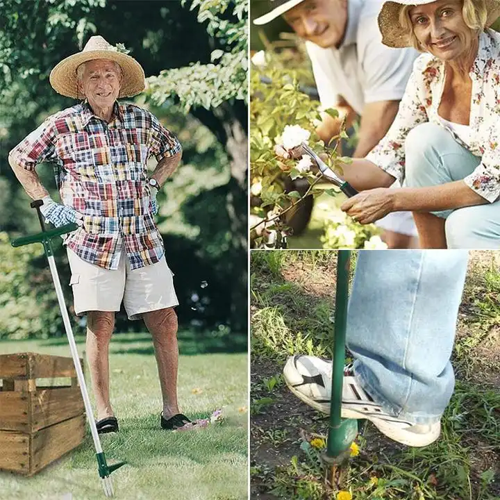 Seisvate taimede juurte eemaldamise tööriist - Image 7