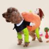 Poochy Pumpkin Halloweeni komplekt