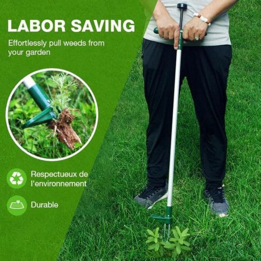 Seisvate taimede juurte eemaldamise tööriist